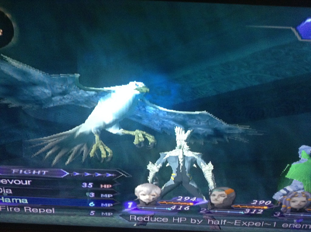 Shin Megami Tensei Digital Devil Saga bird